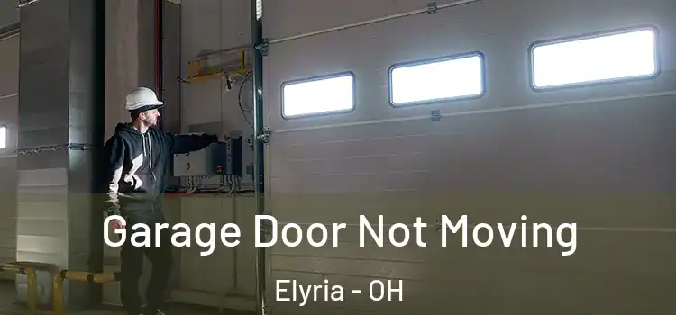  Garage Door Not Moving Elyria - OH