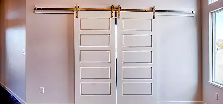 Glass Barn Door with Installation Hardware Kit Elyria